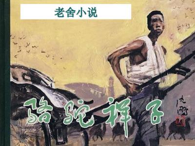 二人扑克剧烈运动视频免费网站在线观看
